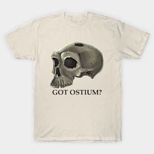 I Cast a Skull on You T-Shirt